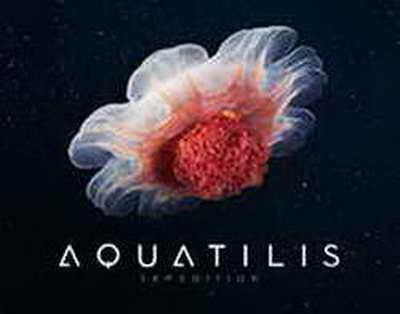 Чи потрібно інформувати ТЦК про новий транспорт, навіть орендований