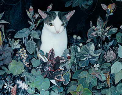 Қазақстандық боксшылардың Азия чемпионатындағы алғашқы қарсыластары белгілі болды