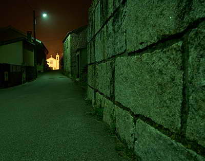 Тошкентда суд қарорига норози эркак дарахтга чиқиб олди